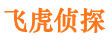 浔阳侦探